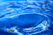 flower in blue water