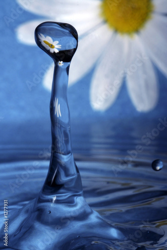 Photo: water with flower water with flower