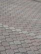 lots of pavers