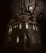 house of rising moon