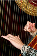 harp harp