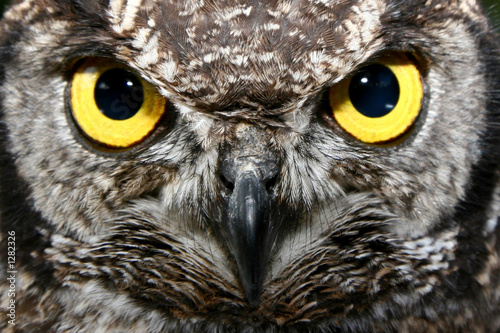 Photo: big brother is watching you! big brother is watching you!