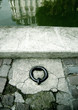 quai quai