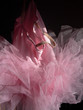 tutu