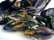 mussels on the plate