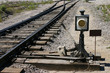shunt