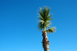 ciel de saint cyprien