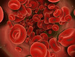 globules rouges