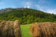 meules de foin