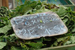 salade