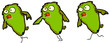 group of chicken