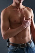torse 2