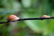 Photo: i will catch up you soon i will catch up you soon