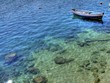 boat boat