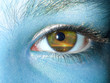 yeux marron yeux marron