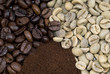coffee stages