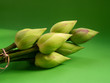 lotus 9