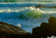 wave
