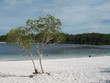 lake mckenzie