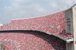 football frenzy