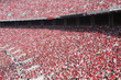 packed stadium