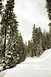 cross country skiing cross country skiing