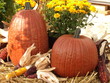 fall scene