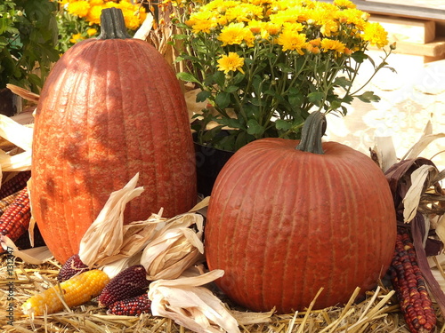 Photo: fall scene fall scene