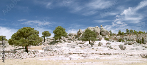 stones and trees