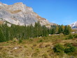 Foto: schöner tag in den schweizer bergen schöner tag in den schweizer bergen