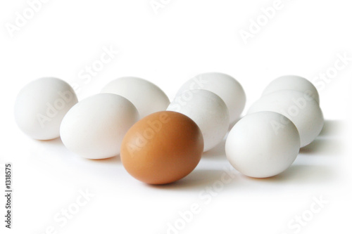 Photo: eier eier