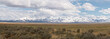 mountains and desert in nevada, united states