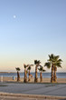 evening on quay santa pola