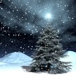 magic night