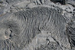 lave cordée