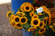blumenstrauß blumenstrauß