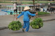légumes, chapeau et pyjama