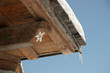 charpente de chalet savoyard