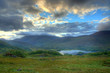 lande irlandaise