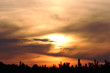 passion in the sky passion in the sky
