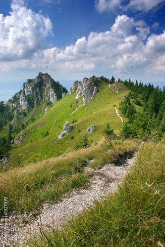 landscape with the limestone rocks landscape with the limestone rocks