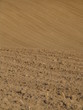 feldlandschaft