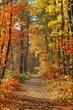 fall