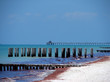 Photo: naples pier and beach naples pier and beach