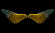 golden angel (abstract)