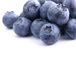 bilberry