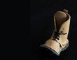 shoe toy isolated
