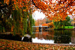 boston public garden boston public garden