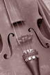 violin