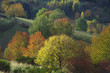 automne1